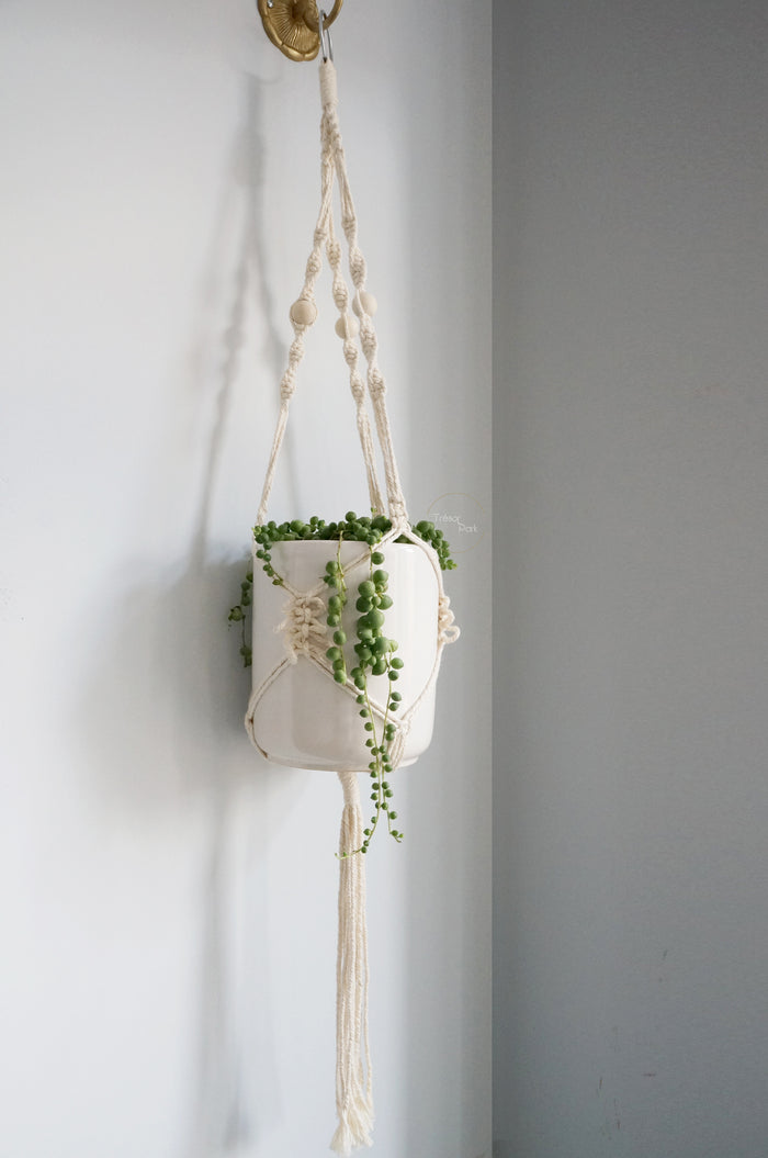 Macrame Plant Hanger