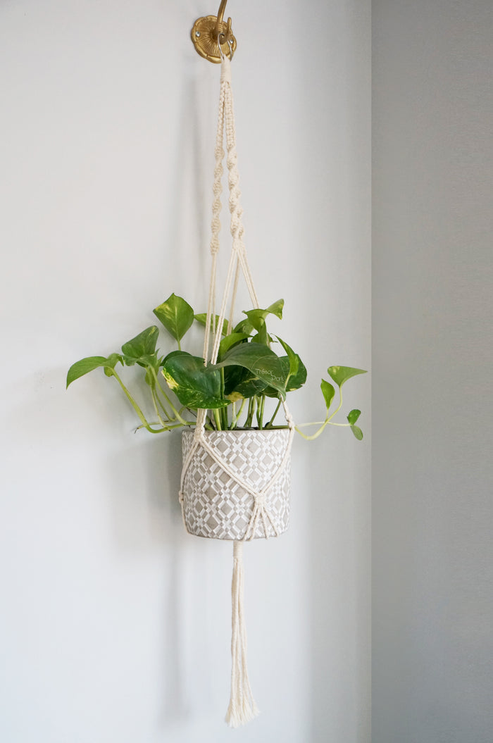 Macrame Plant Hanger