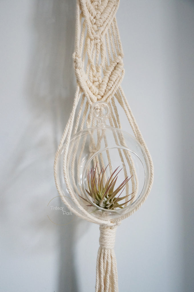 decorative Plant Hanger