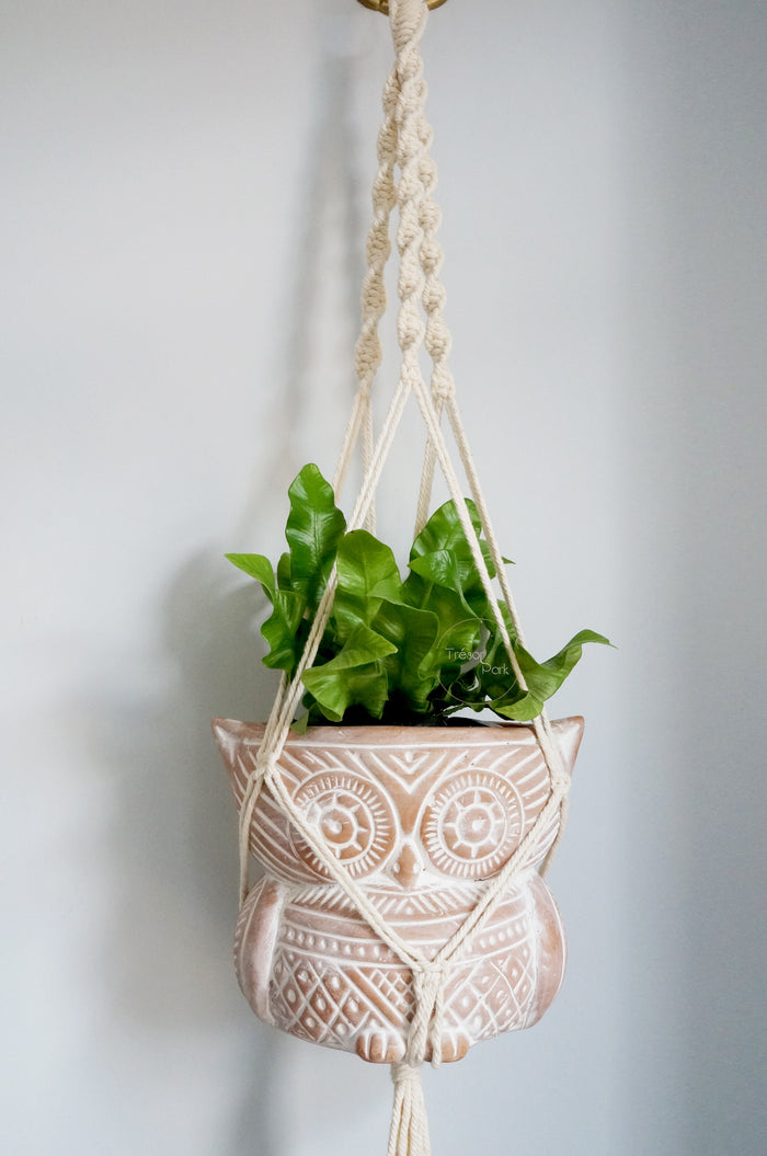 Macrame Plant Hanger