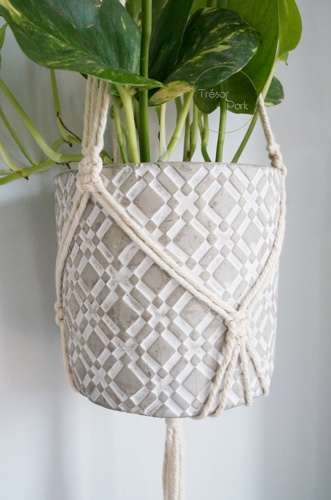 Macrame Plant Hanger