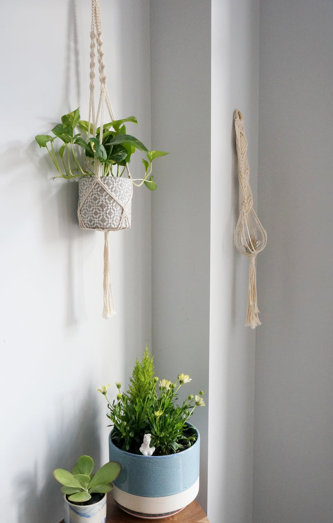 Macrame Plant Hanger