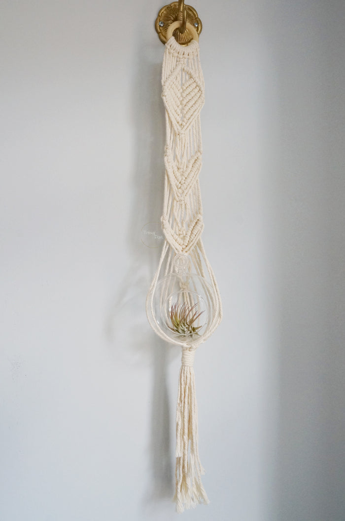 Macrame Plant Hanger