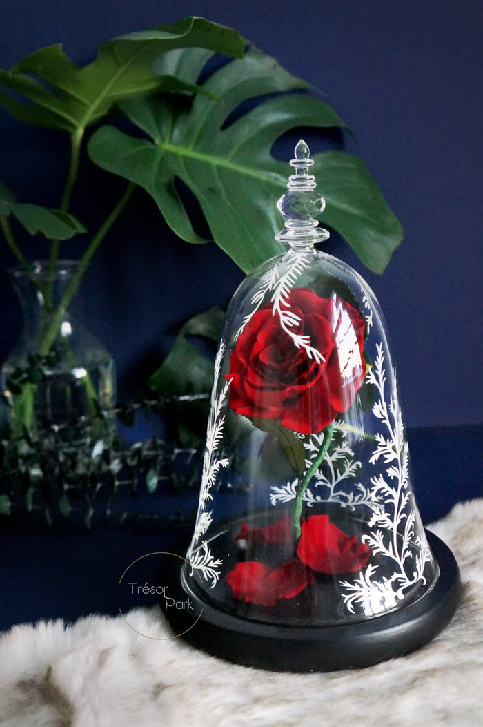 beauty and beast enchanted rose