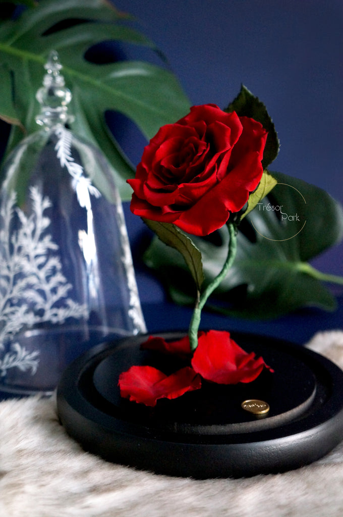 beauty and beast enchanted rose