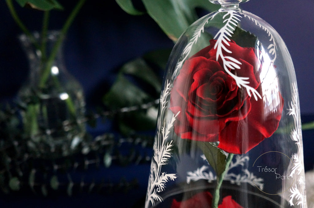 beauty and beast enchanted rose