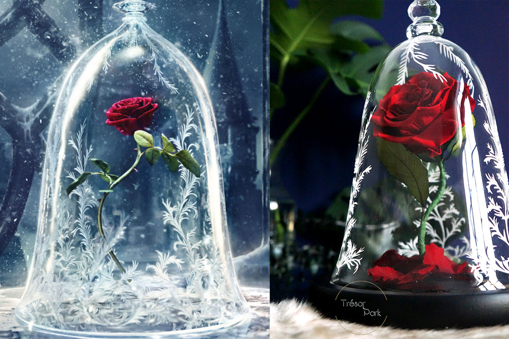 beauty and beast enchanted rose
