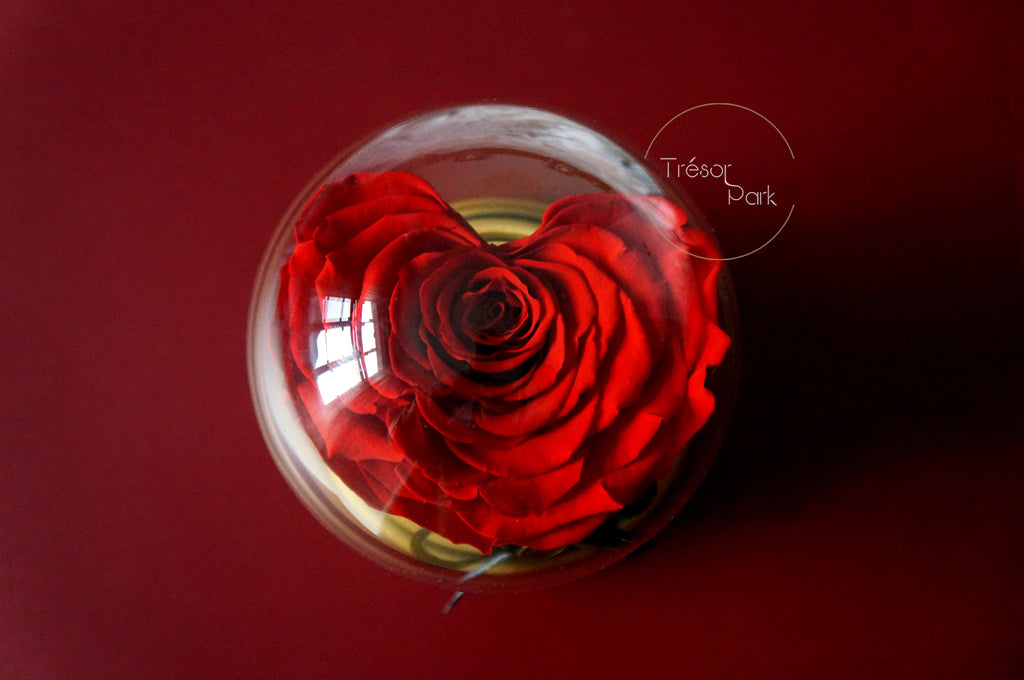 My Heart —— Music Box